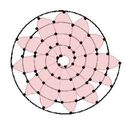 dots, Archimedean spiral, flower